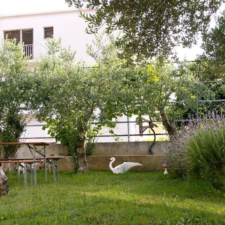 Pepi Apartments 2 Zadar Exterior foto